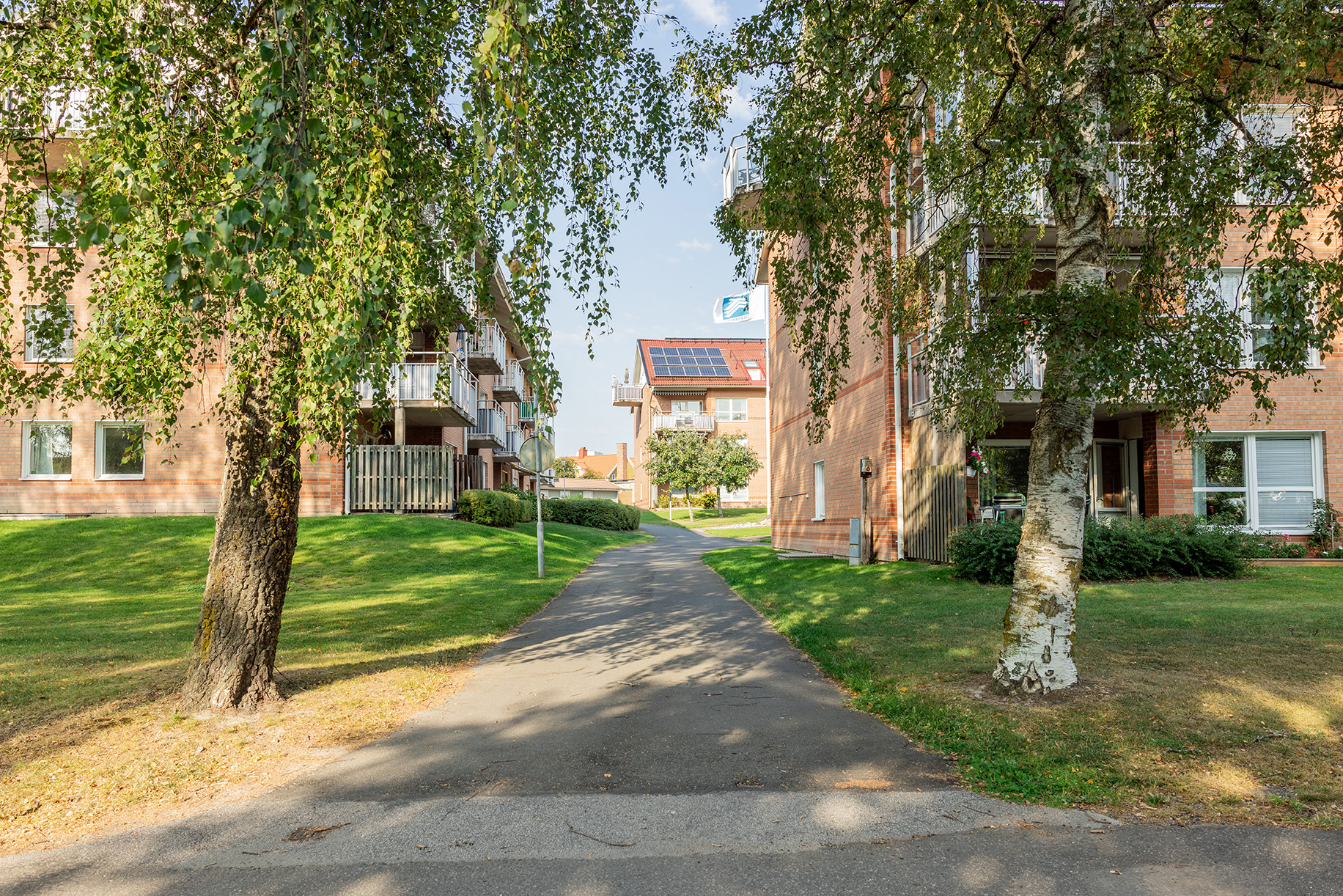 Allé upp mot Pegasus