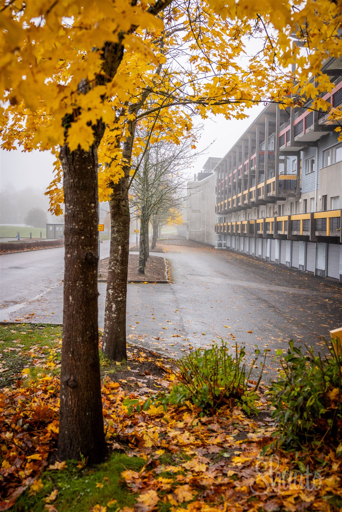 Brittgården en dimmig och regnig höstdag.